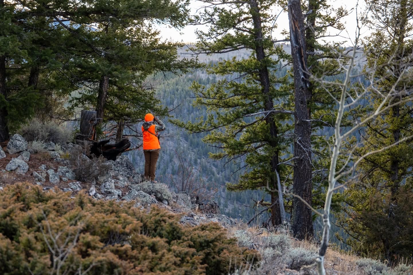 Hunter among trees and rocky terrain, illustrating time spent in the field