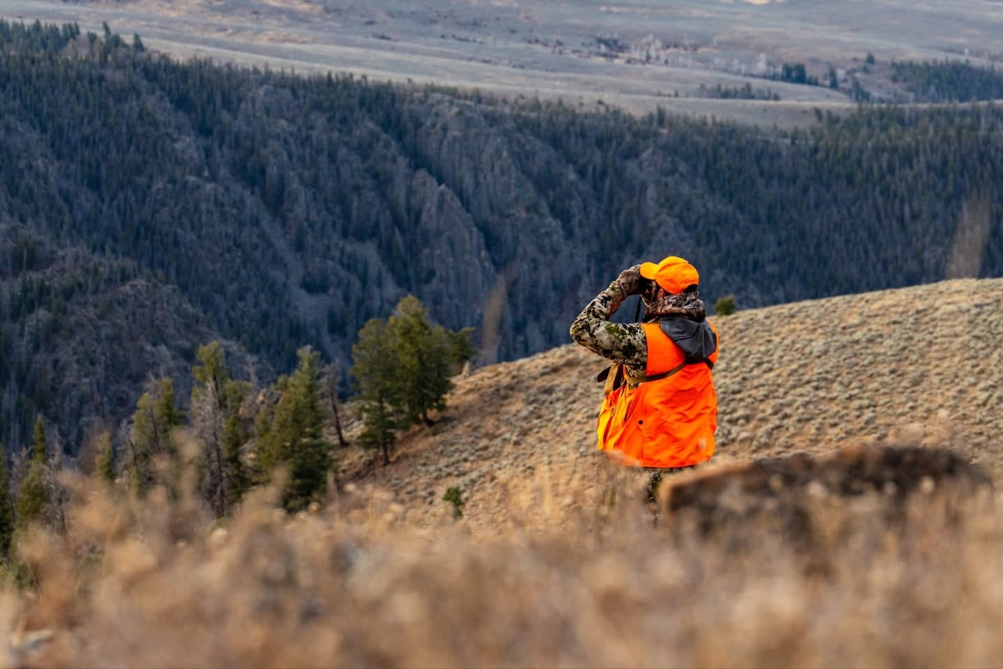 Hunter overlooking an open hillside and valley, taking in the landscape