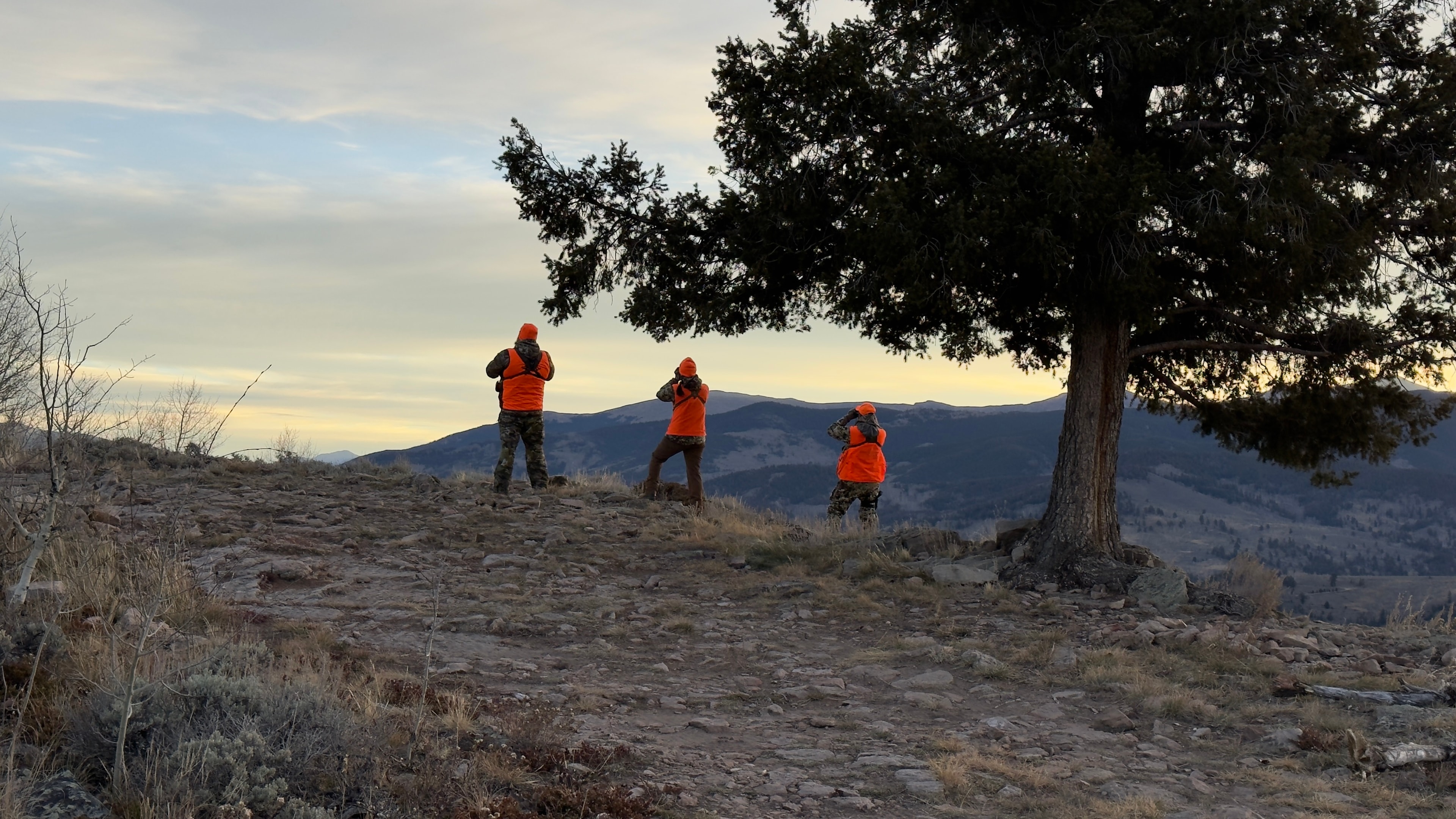 Three hunters beneath a tree in evening light, sharing a moment at the end of the day